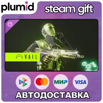 DLC VAIL VR Ionwave Character and Weapon Skin Bundle Steam Gift / Россия + МИР / АВТО - irongamers.ru