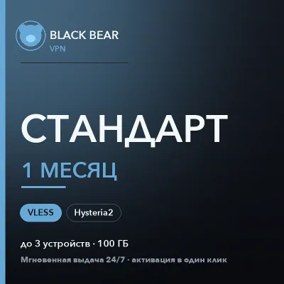 Black Bear VPN Стандартный 1 месяц VLESS и Hysteria2 - irongamers.ru