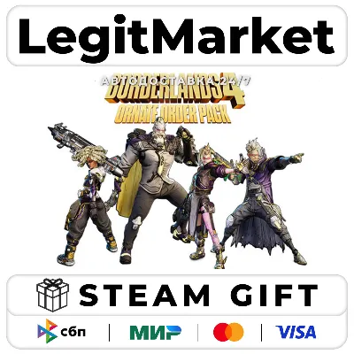 DLC Borderlands 4: Ornate Order Pack / Steam АВТО / РУ + МИР - irongamers.ru