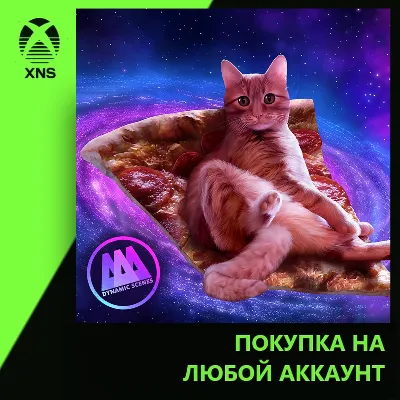 AAA Dynamic Scenes - Lazy Pizza Cat Dynamic Scene Xbox | Любой аккаунт - irongamers.ru