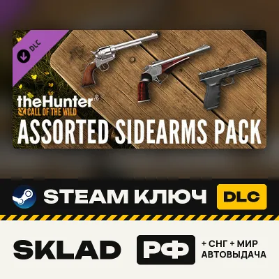 theHunter: Assorted Sidearms Pack DLC, Steam ключ, РФ/СНГ/МИР, автовыдача - irongamers.ru