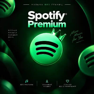 Spotify Premium на 1/12 месяцев - irongamers.ru