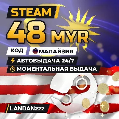 Steam 48 MYR | Код | Малайзия | Автодоставка 24/7 - irongamers.ru
