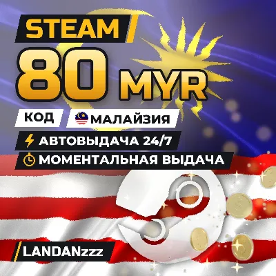 Steam 80 MYR | Код | Малайзия | Автодоставка 24/7 - irongamers.ru