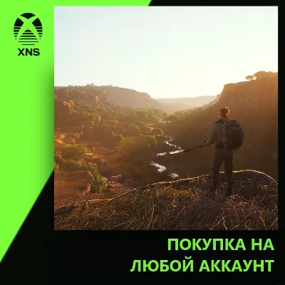 Way of the Hunter 2: Season Pass Xbox | Любой аккаунт | Выбор издания - irongamers.ru