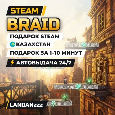 Braid | Подарок Steam | Казахстан | Автодоставка 24/7 - irongamers.ru