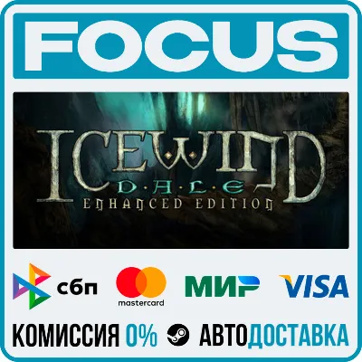 Icewind Dale: Enhanced Edition STEAM RU/МИР • АВТО - irongamers.ru