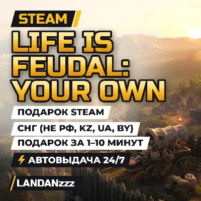 Life is Feudal: Your Own | Подарок Steam | СНГ (не РФ, KZ, UA, BY) | 24/7