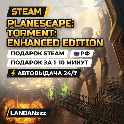 Planescape: Torment: Enhanced Edition | Подарок Steam | РФ | Автодоставка 24/7 - irongamers.ru