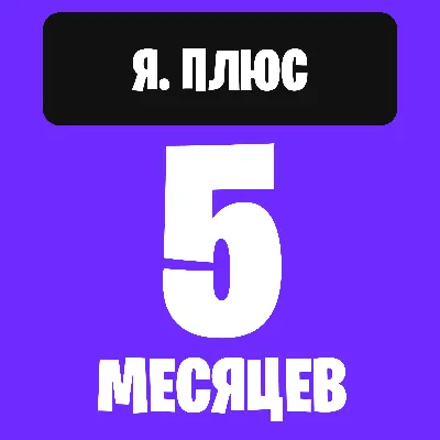 12 МЕСЯЦЕВ ПЛЮС ИНВАЙТ в СЕМЬЮ 0% - irongamers.ru