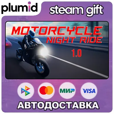 Motorcycle Night Ride Steam Gift / Россия + МИР / АВТО - irongamers.ru