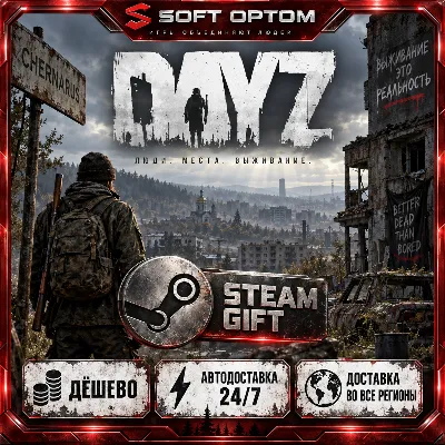 DayZ · Standard|Deluxe|Cool · Steam ANY REGION · AUTO 24/7