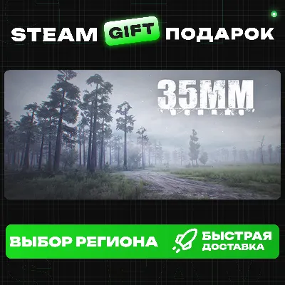 35MM+ВЫБОР / Steam GIFT / МИР - irongamers.ru