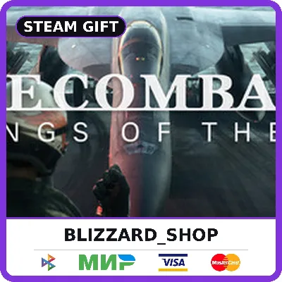 ACE COMBAT 8: WINGS OF THEVE - Steam Gift (РФ, KZ, UA, TR), автовыдача 24/7 - irongamers.ru