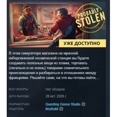 Probably Stolen | Steam gift Россия - irongamers.ru