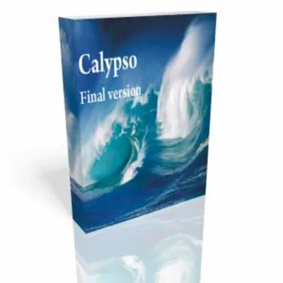 Calypso 1.04  Мультивалютный и хеджевый - irongamers.ru