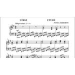 3с13 Этюд, ПАВЕЛ ЗАХАРОВ / фортепиано