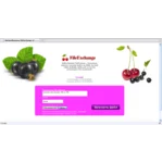 Улучшенный PHP скрипт файлообменника