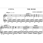 2с09 Суета, ПАВЕЛ ЗАХАРОВ / фортепиано