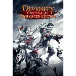 Divinity Original Sin Enhanced Collector´s Edition ГИФТ