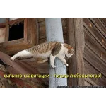 Диплом Управление доходностью предприятия