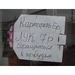 Диплом Разработка формата Дискаунтер