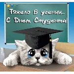 Контрольная Юридическая техника