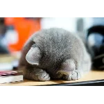 Контрольная Уголовный процесс