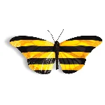 Онлайн пополнение БИЛАЙН Россия от 10 до 3000 руб