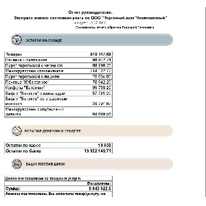 Отчет для директора для БП 3.0