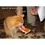 Контрольная Инженерно-технические средства охраны