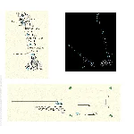 Динамический блок крана TEREX RC 40 в формате DWG