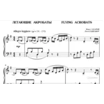 5с04 Летающие акробаты, ПАВЕЛ ЗАХАРОВ / фортепиано