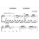 5с05 Скерцино, ПАВЕЛ ЗАХАРОВ / фортепиано