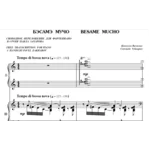 5с34 Бэсамэ мучо, КОНСУЭЛО ВЕЛАСКЕС / ф-но в 4 руки