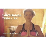 Курс шивананда йога от Зап Zap 80 минут