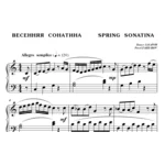 6с04 Весенняя сонатина, ПАВЕЛ ЗАХАРОВ / фортепиано