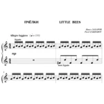 6с06 Пчёлки, ПАВЕЛ ЗАХАРОВ / фортепиано