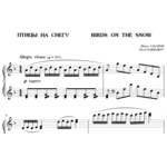 6с14 Птицы на снегу, ПАВЕЛ ЗАХАРОВ / фортепиано