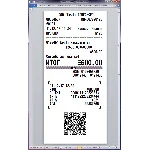 Шрифт ККМ ЭЛВЕС-ФР(ttf)