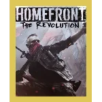 HOMEFRONT: THE REVOLUTION (Steam)(RU/ CIS)