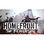 Homefront: The Revolution/STEAM КЛЮЧ СРАЗУ/РФ