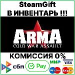 ARMA: Cold War Assault [Steam Gift/Region Free]💳0%