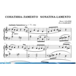 7с16 Сонатина-ламенто, ПАВЕЛ ЗАХАРОВ / для фортепиано