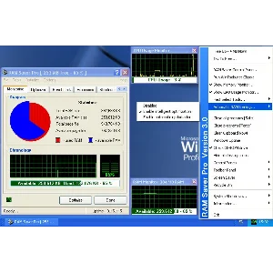 RAM Saver Professional