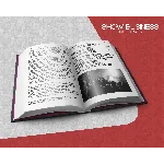 Шоу-Бизнес СТАРТ (технологии для артиста)