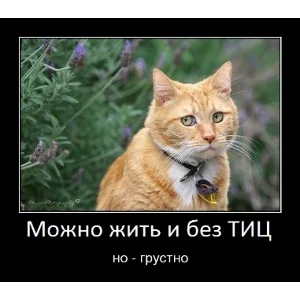 База сайтов для поднятия тИЦ и продвижения