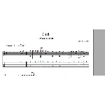 Девушка (Битлз)