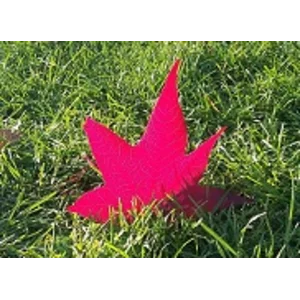 Листья - Черный Кофе - ноты, табы