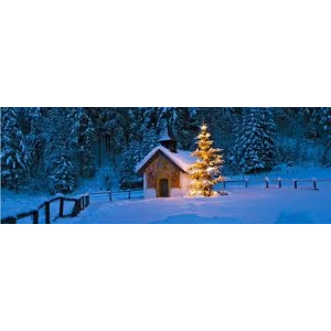 Testitem - Текст, модель "плати сколько хочешь"